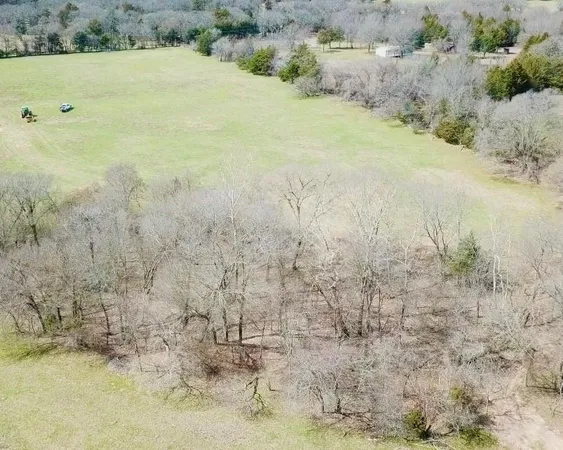 a view of a dry yard with green space