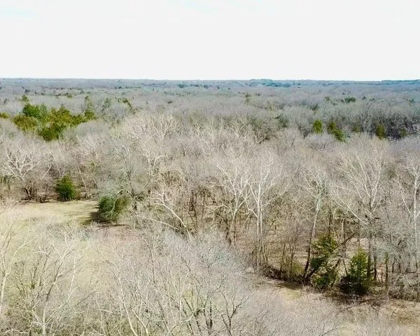 a view of a dry yard with trees