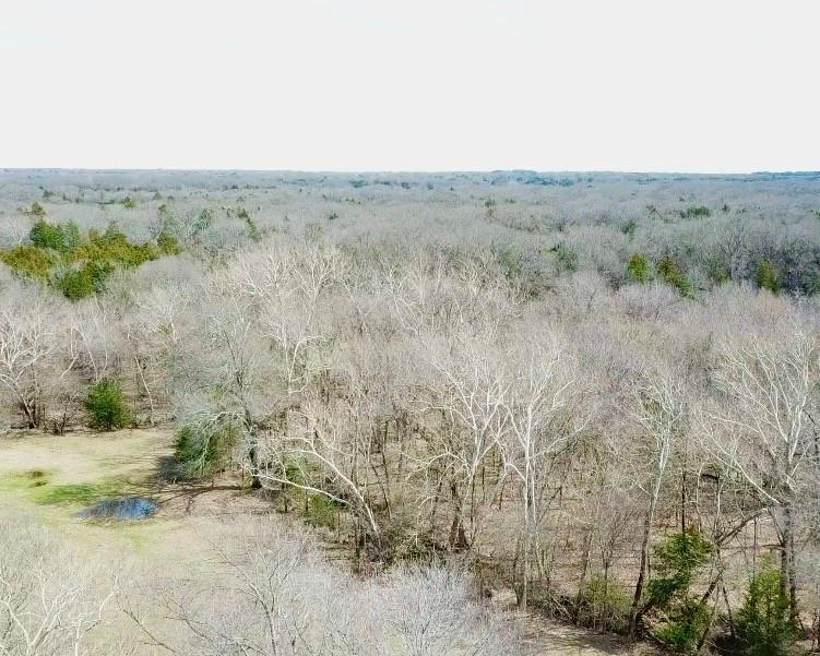 0 C R 1115 Bonham, TX 75418 - Photo 4 of 10 a view of a dry field