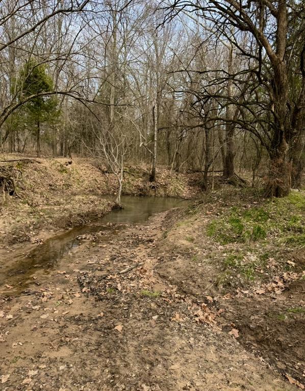 0 C R 1115 Bonham, TX 75418 - Photo 7 of 10 a view of a yard with a tree