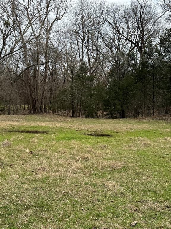 0 C R 1115 Bonham, TX 75418 - Photo 9 of 10 a view of a field with trees in the background