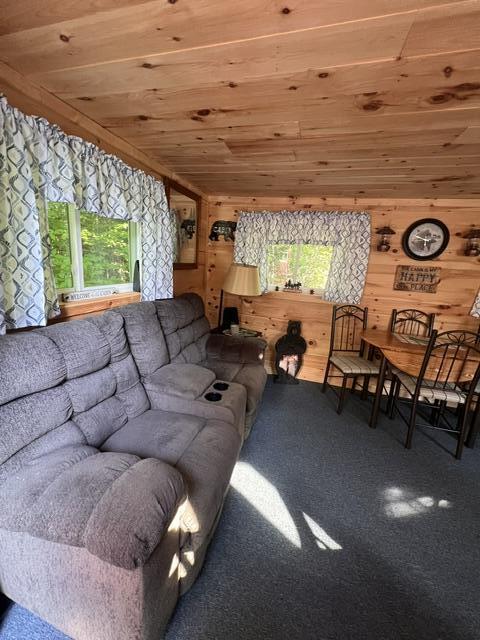 684 Estabrook Road Amity, ME 04471 - Photo 4 of 19 IMG_1311