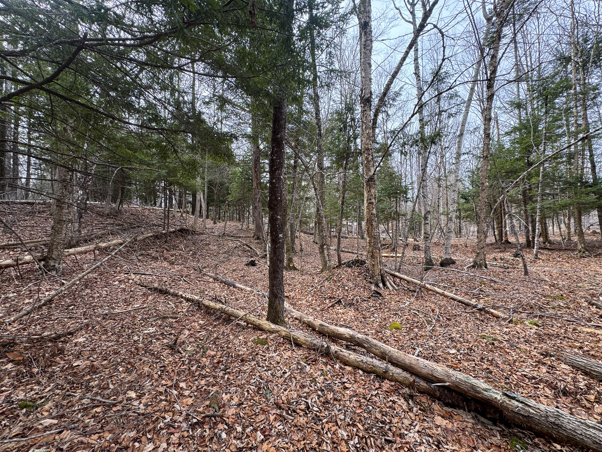 M11-l10 Gordon Hill Road Thorndike, ME 04986 - Photo 16 of 17