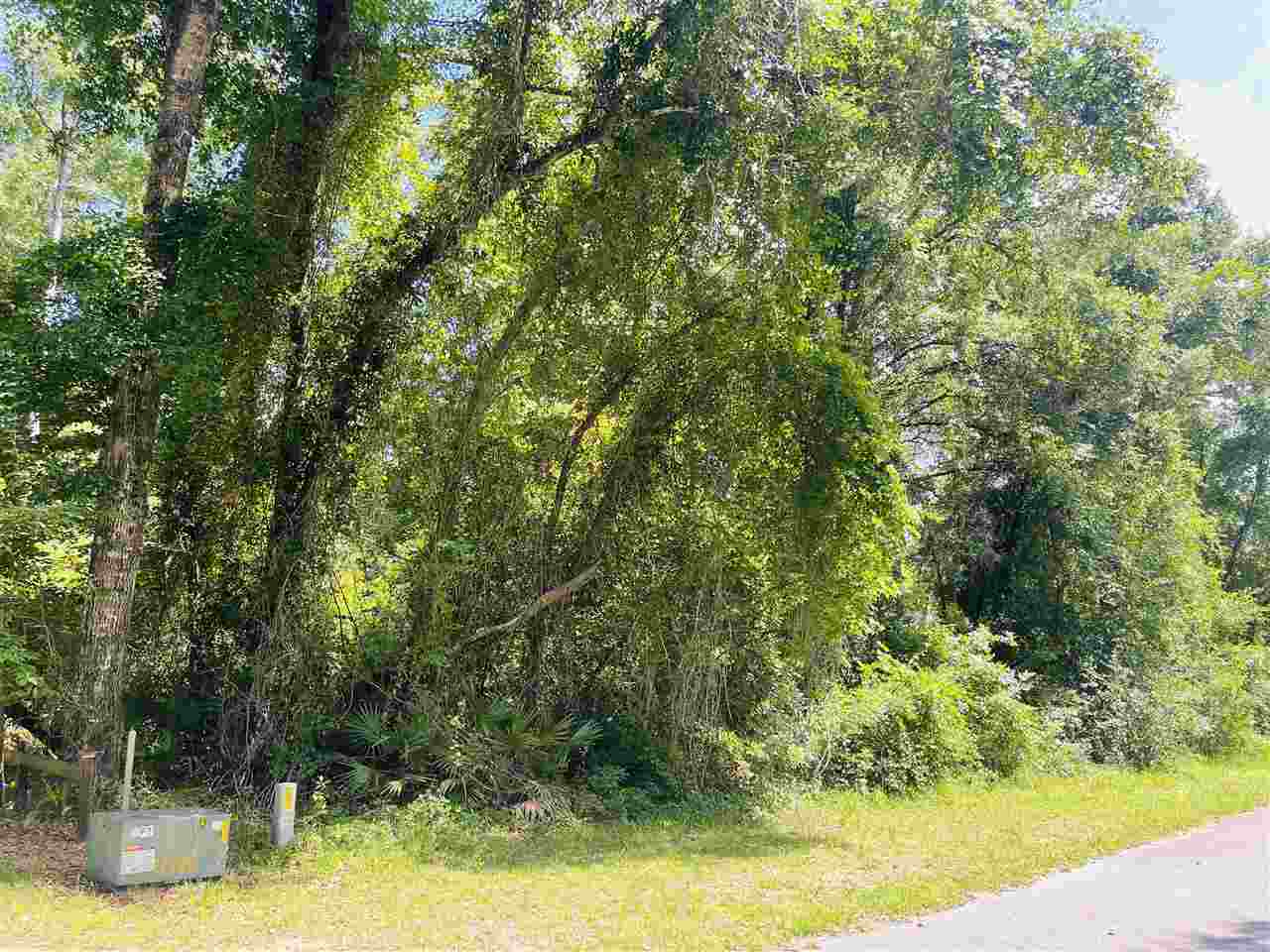 3297 Horseshoe Cove Road Waverly, GA 31565 - Photo 3 of 22
