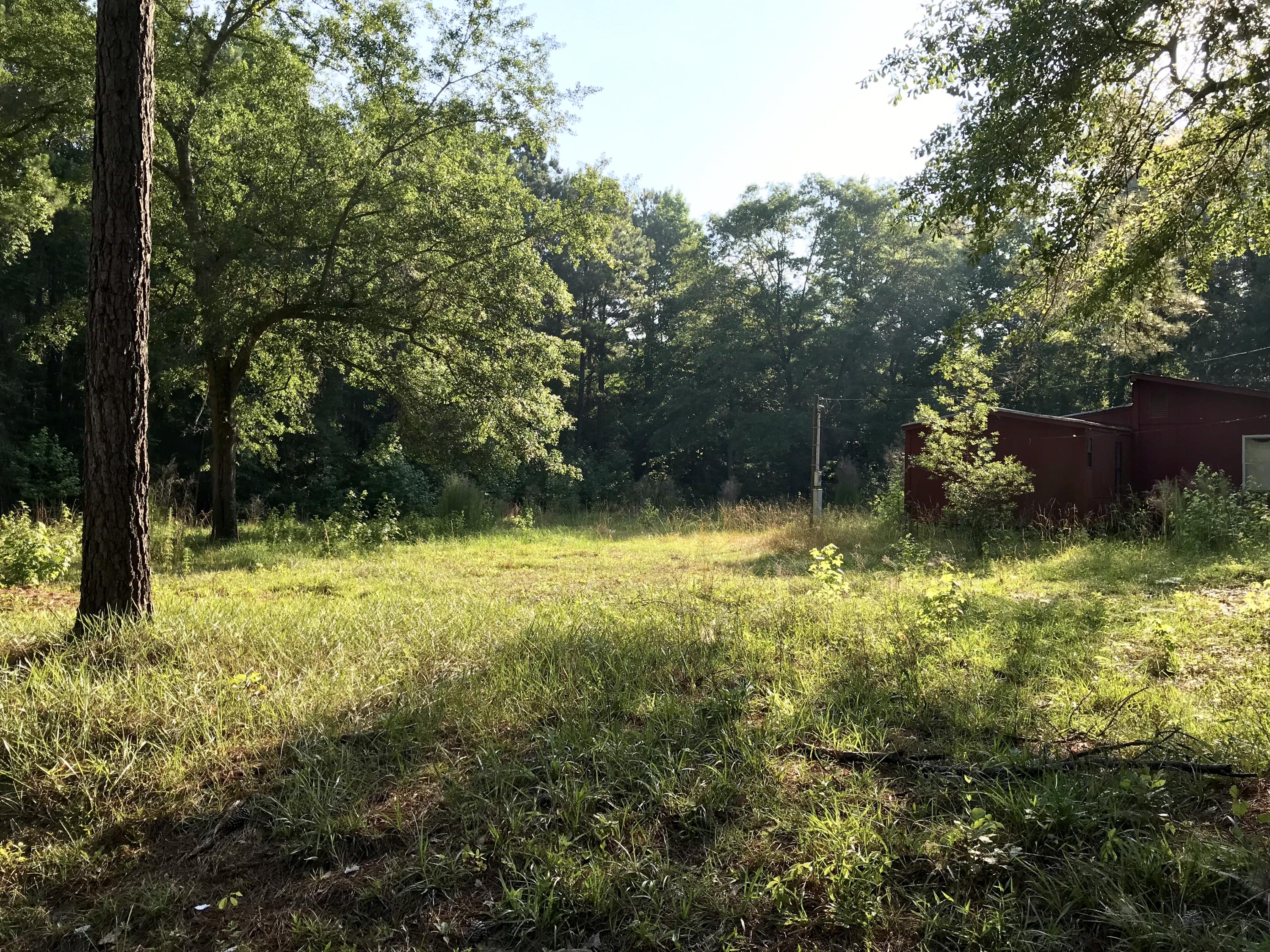 1883 Smoak Road Walterboro, SC 29488 - Photo 4 of 4 67978670-D905-4DB6-B1DF-B2DA323F8435