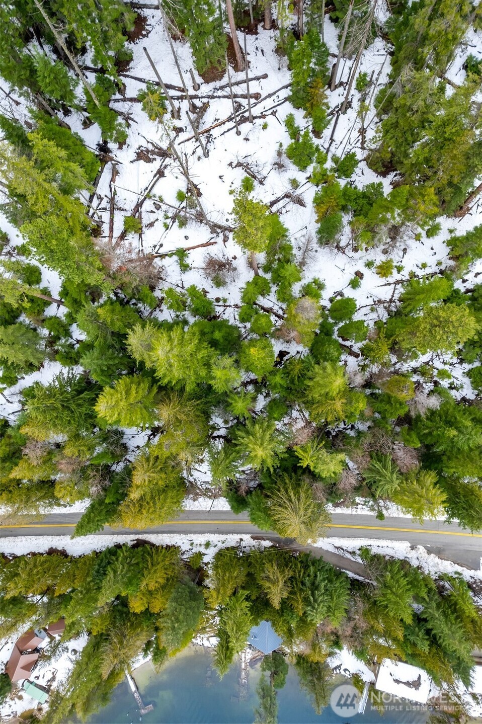 0 Cedar Brae Road Leavenworth, WA 98826 - Photo 2 of 9 a backyard of a tree
