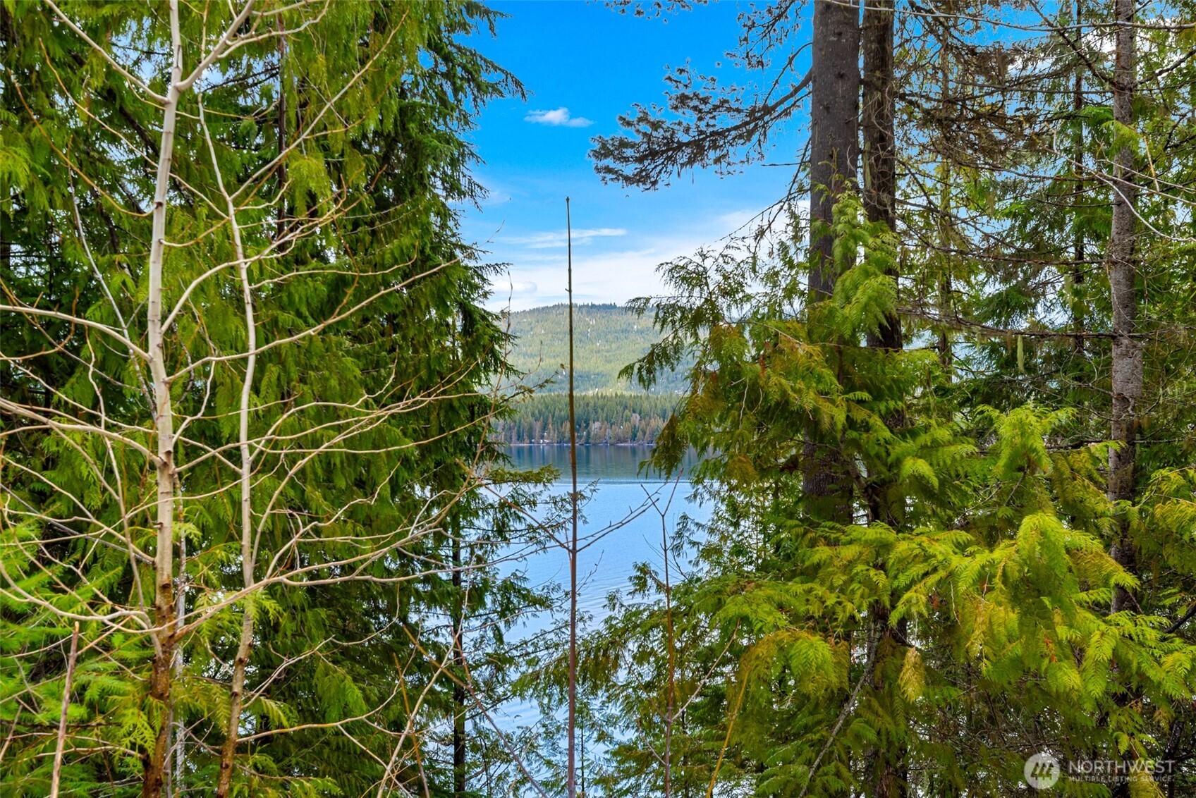 0 Cedar Brae Road Leavenworth, WA 98826 - Photo 6 of 9 a view of a garden