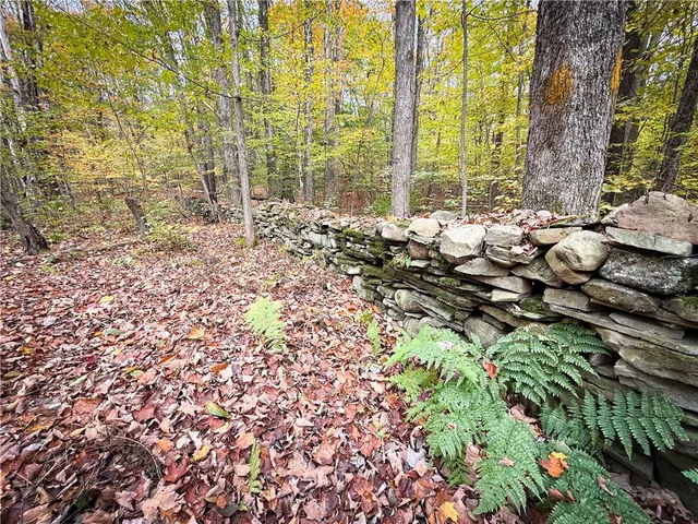 $124,900 | 0 Trout Brook Drive, Richland, NY 13144