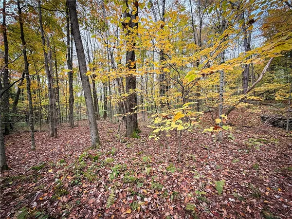 $124,900 | 0 Trout Brook Drive, Richland, NY 13144