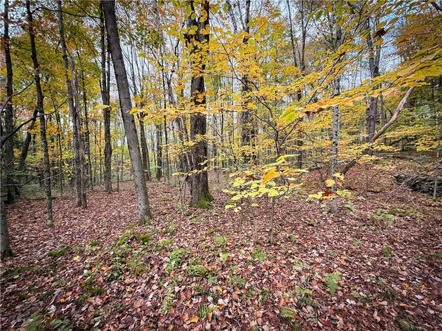 $124,900 | 0 Trout Brook Drive, Richland, NY 13144