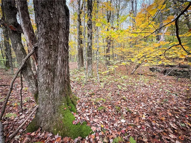 $124,900 | 0 Trout Brook Drive, Richland, NY 13144