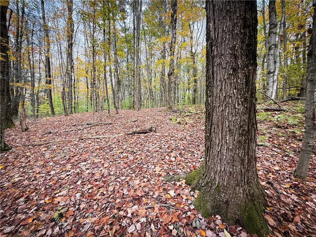 $124,900 | 0 Trout Brook Drive, Richland, NY 13144