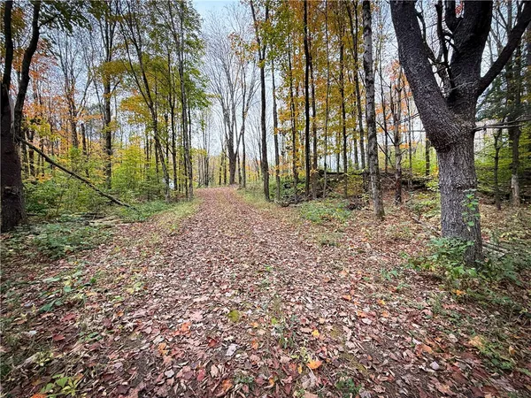 $124,900 | 0 Trout Brook Drive, Richland, NY 13144