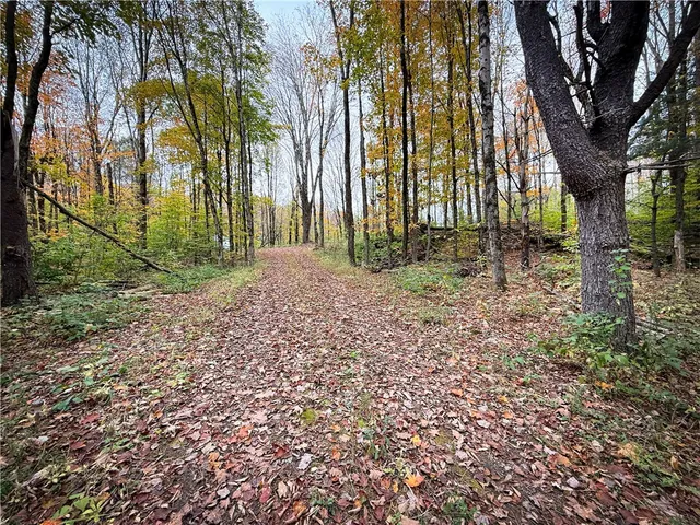 $124,900 | 0 Trout Brook Drive, Richland, NY 13144