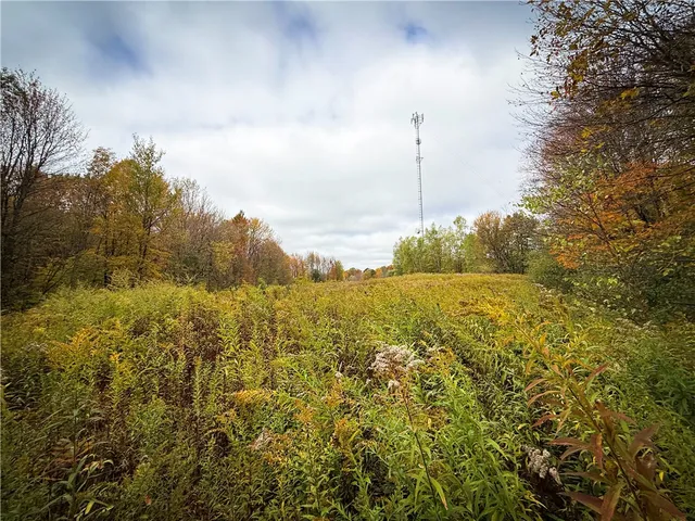 $124,900 | 0 Trout Brook Drive, Richland, NY 13144