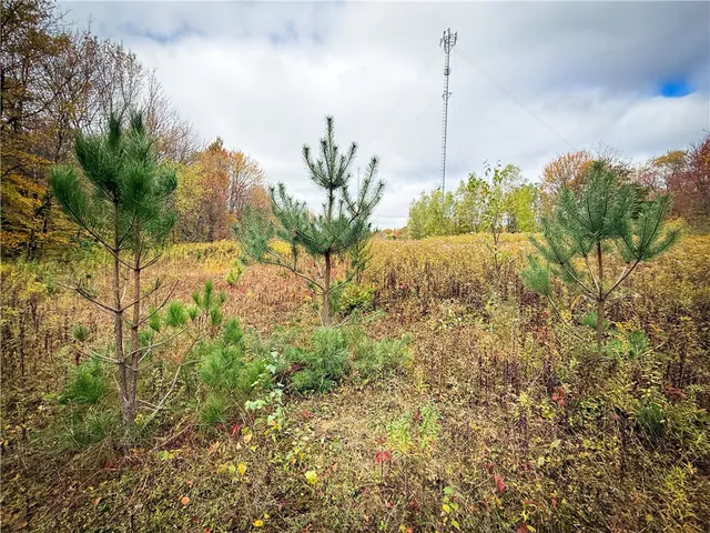 $124,900 | 0 Trout Brook Drive, Richland, NY 13144