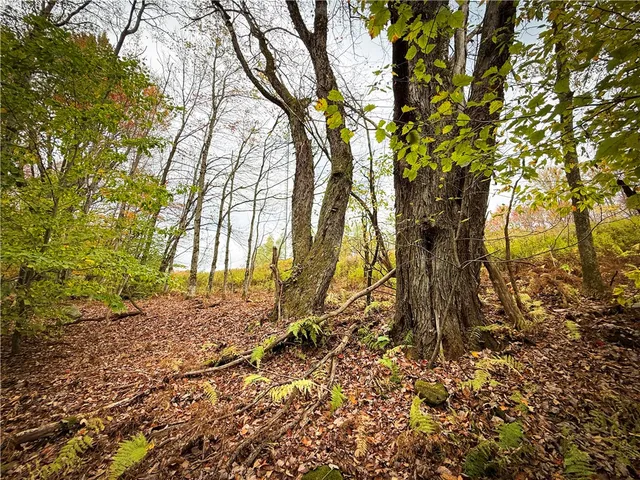 $124,900 | 0 Trout Brook Drive, Richland, NY 13144