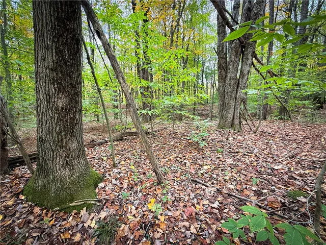 $124,900 | 0 Trout Brook Drive, Richland, NY 13144