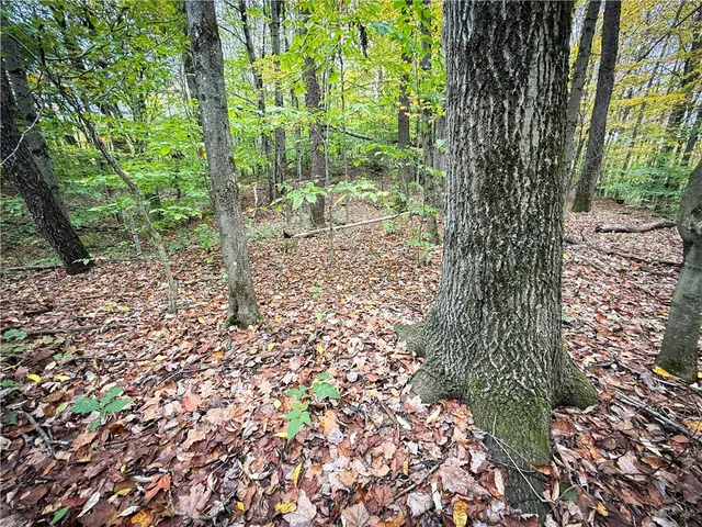 $124,900 | 0 Trout Brook Drive, Richland, NY 13144