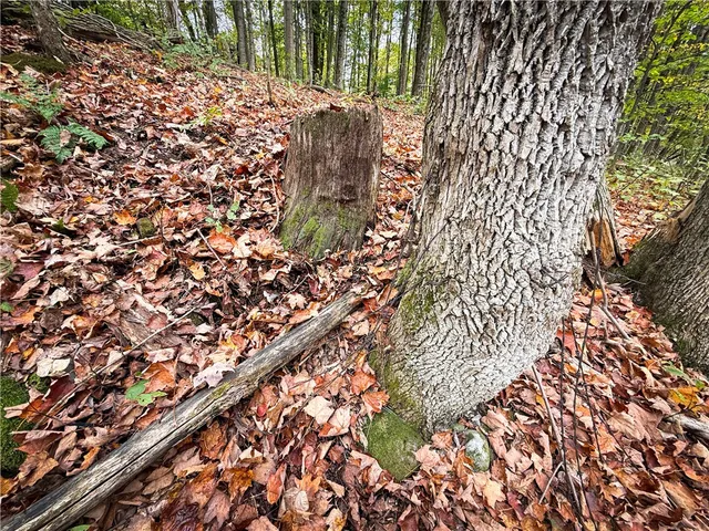 $124,900 | 0 Trout Brook Drive, Richland, NY 13144