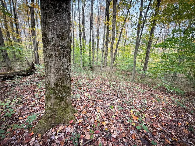 $124,900 | 0 Trout Brook Drive, Richland, NY 13144