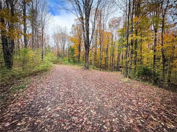 $124,900 | 0 Trout Brook Drive, Richland, NY 13144