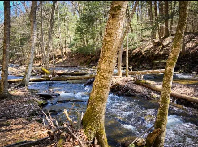 $124,900 | 0 Trout Brook Drive, Richland, NY 13144