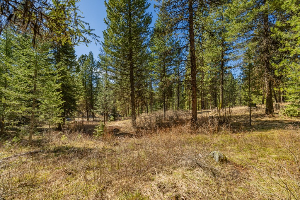 15 York Street, Unit 4 McCall, ID 83638 - Photo 11 of 40