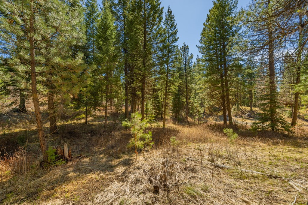 15 York Street, Unit 4 McCall, ID 83638 - Photo 12 of 40