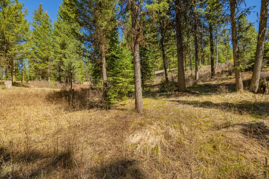 15 York Street, Unit 4 McCall, ID 83638 - Photo 13 of 40
