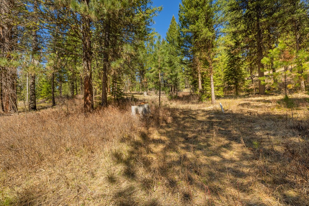 15 York Street, Unit 4 McCall, ID 83638 - Photo 14 of 40