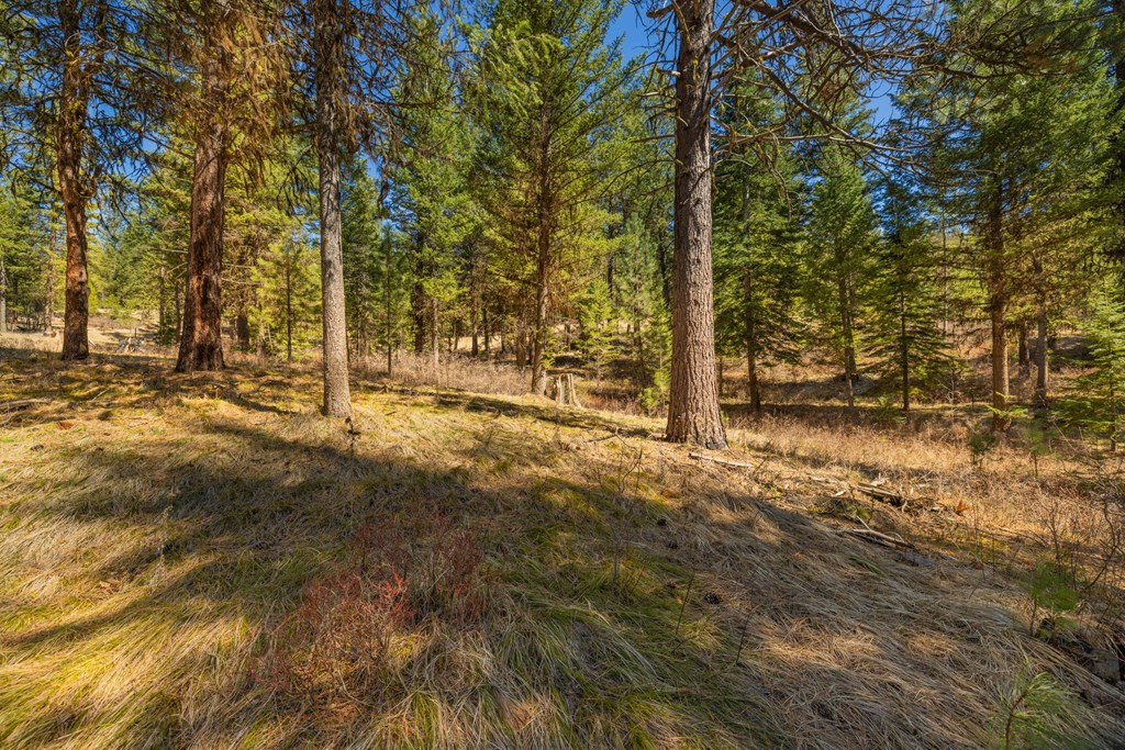 15 York Street, Unit 4 McCall, ID 83638 - Photo 15 of 40