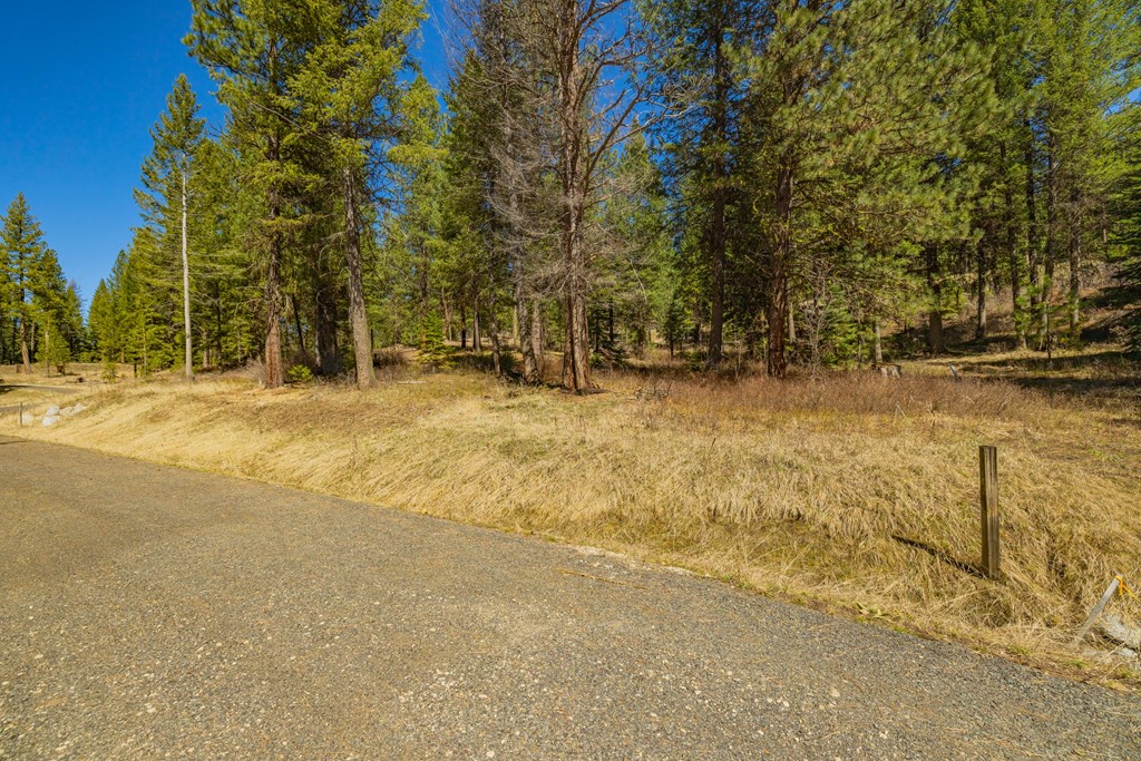 15 York Street, Unit 4 McCall, ID 83638 - Photo 16 of 40