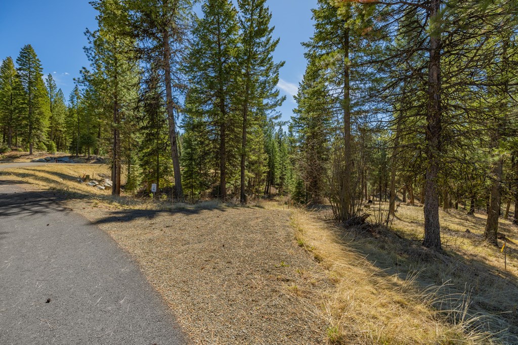 15 York Street, Unit 4 McCall, ID 83638 - Photo 2 of 40