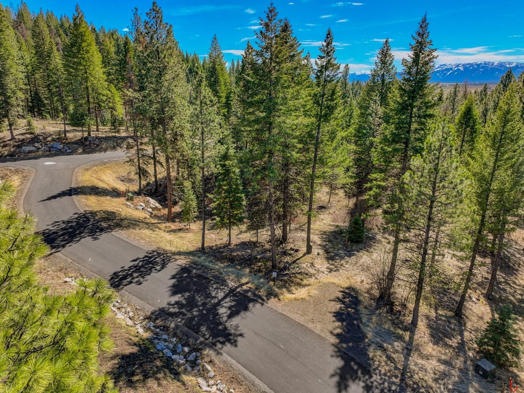 15 York Street, Unit 4 McCall, ID 83638 - Photo 27 of 40