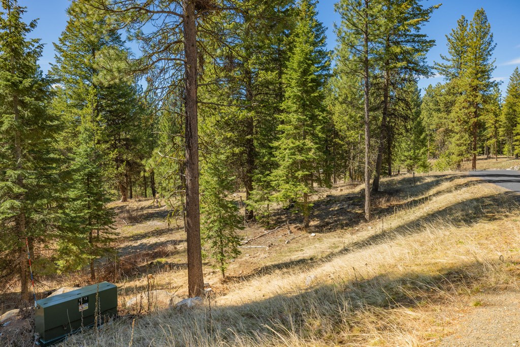 15 York Street, Unit 4 McCall, ID 83638 - Photo 4 of 40