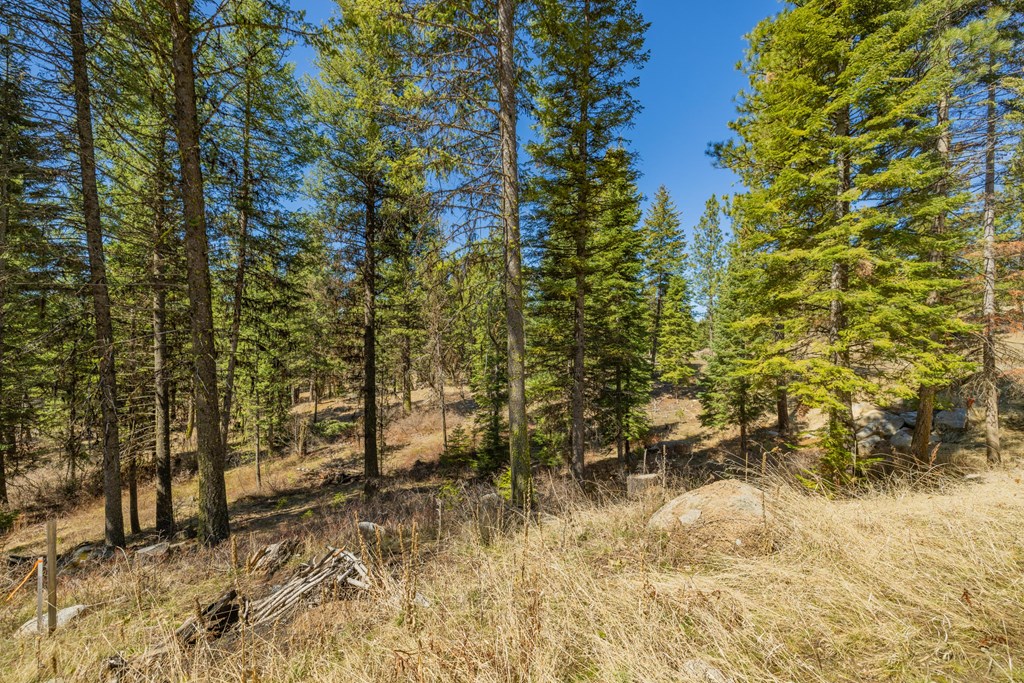 15 York Street, Unit 4 McCall, ID 83638 - Photo 5 of 40
