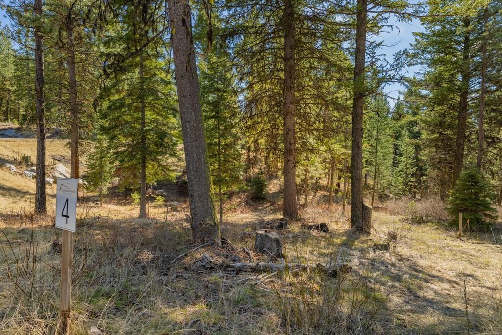 15 York Street, Unit 4 McCall, ID 83638 - Photo 6 of 40
