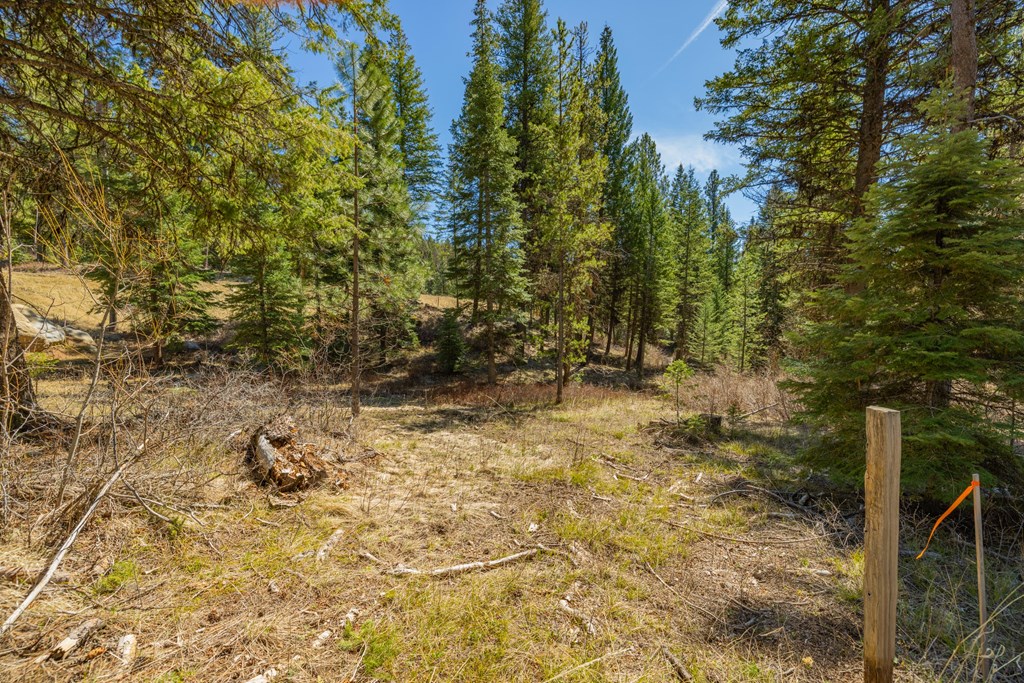 15 York Street, Unit 4 McCall, ID 83638 - Photo 7 of 40