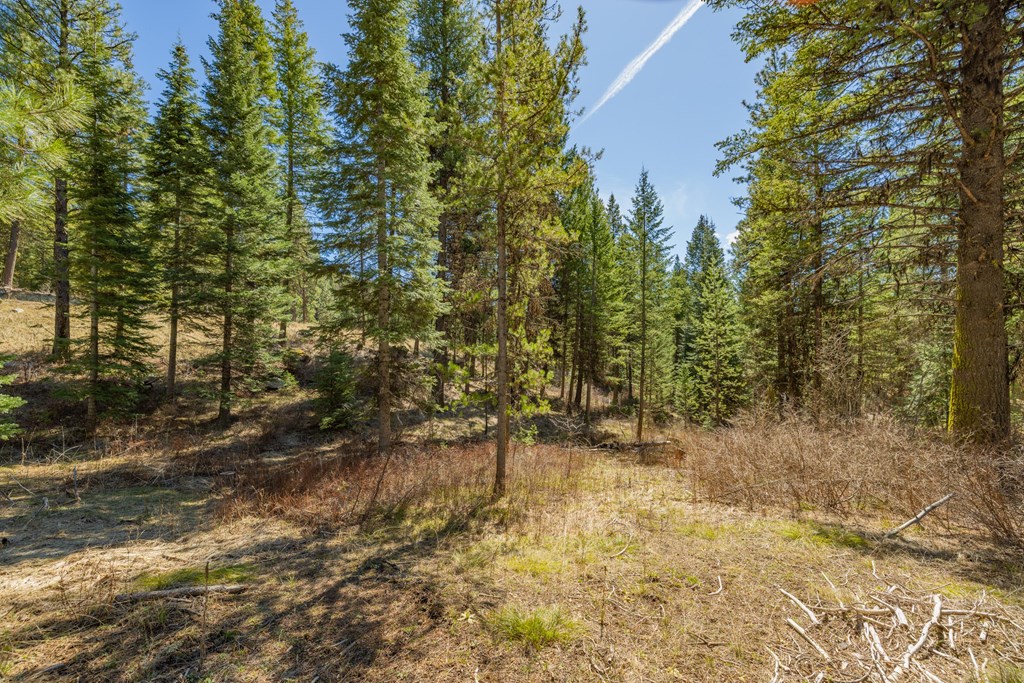 15 York Street, Unit 4 McCall, ID 83638 - Photo 8 of 40