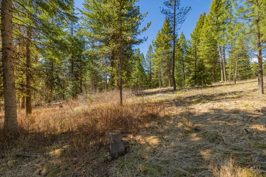 15 York Street, Unit 4 McCall, ID 83638 - Photo 9 of 40