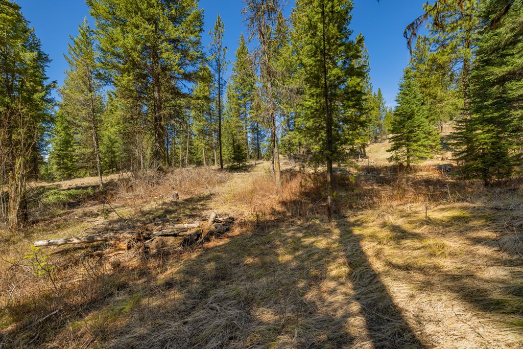 15 York Street, Unit 4 McCall, ID 83638 - Photo 10 of 40