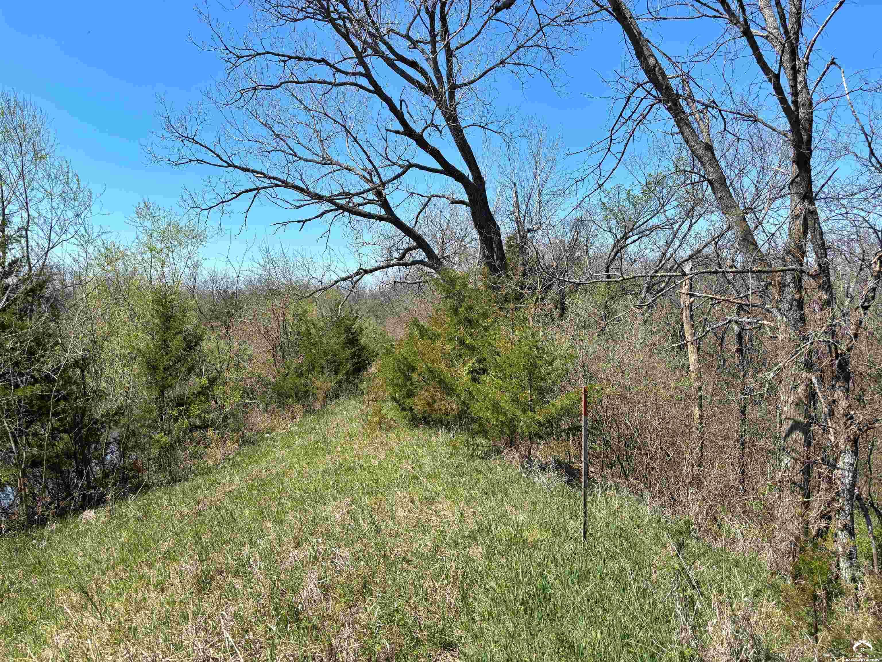 1240 North 900 Road Lawrence, KS 66047 - Photo 20 of 43