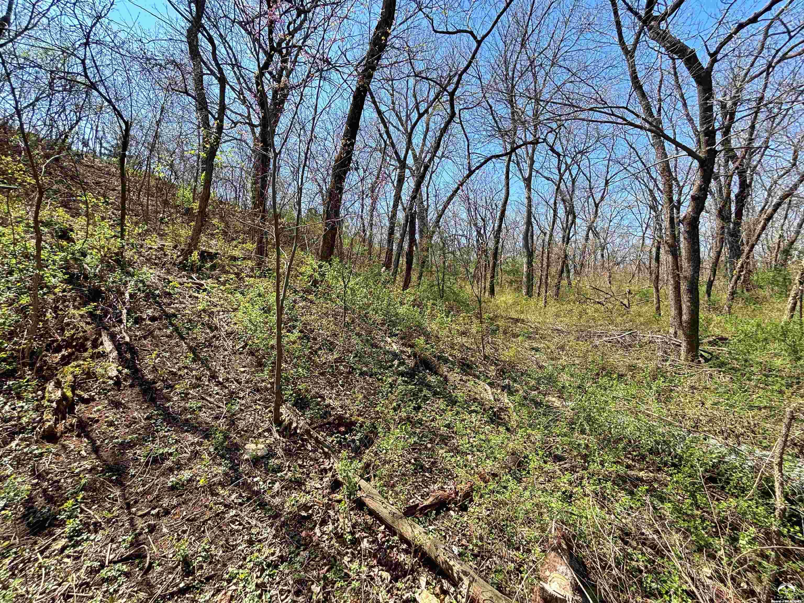 1240 North 900 Road Lawrence, KS 66047 - Photo 25 of 43