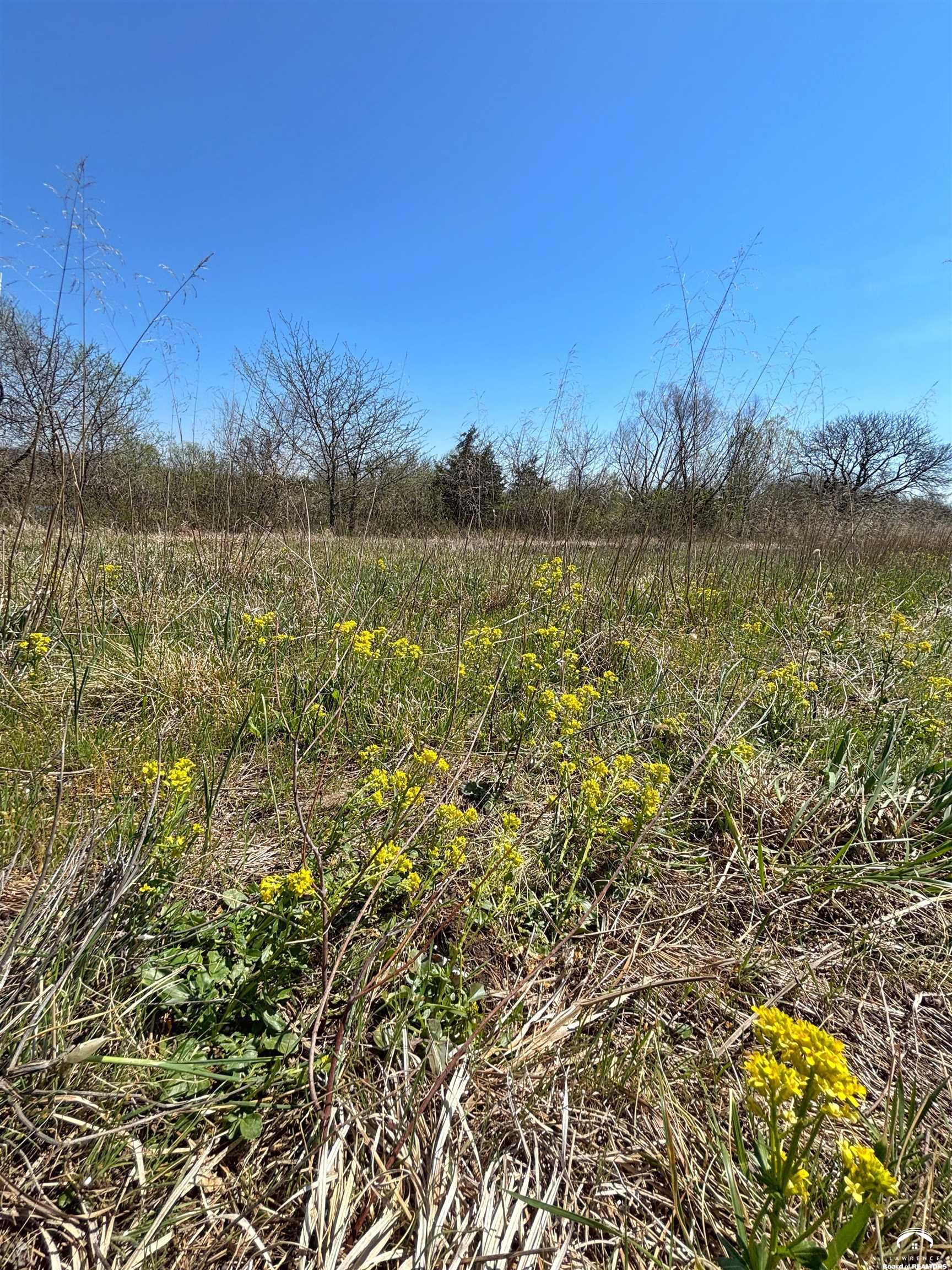 1240 North 900 Road Lawrence, KS 66047 - Photo 31 of 43