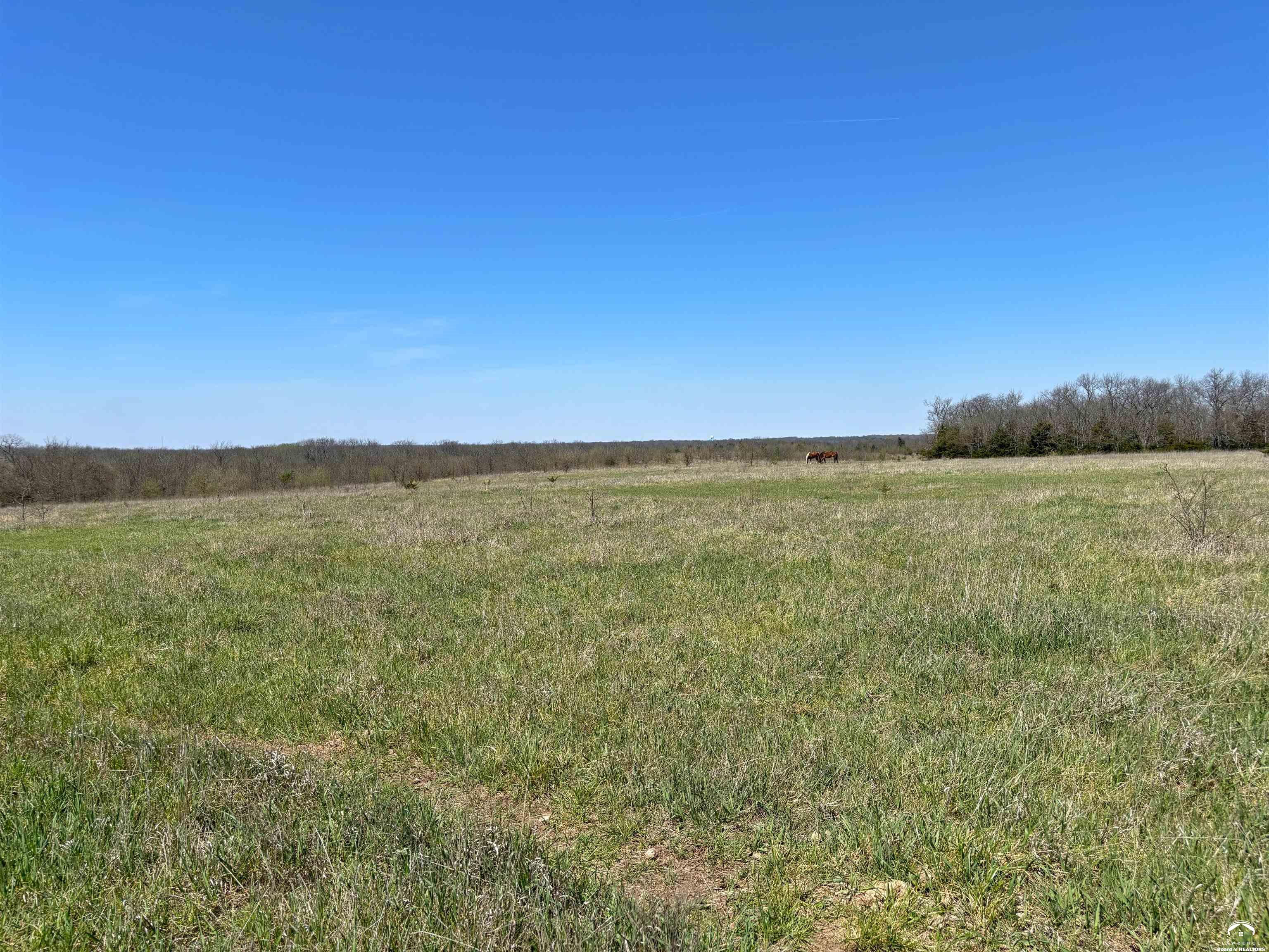 1240 North 900 Road Lawrence, KS 66047 - Photo 37 of 43