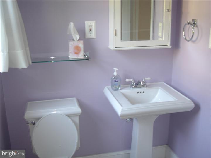 317 Williams Road Bryn Mawr, PA 19010 - Photo 3 of 5 Gallery Image 3
