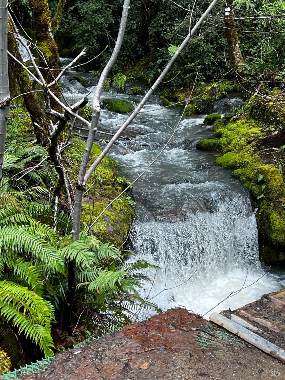 3761 East Blue Rock Road Garberville, CA 95542 - Photo 20 of 38 a backyard of a house with lots of green space