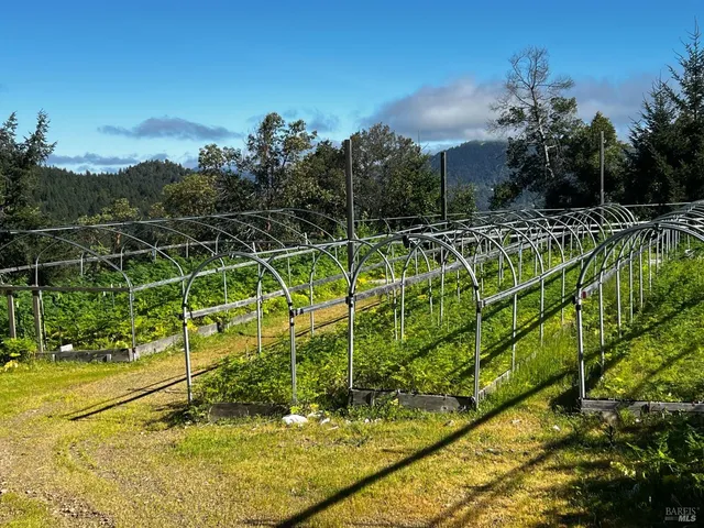 a view of a yard with sitting area
