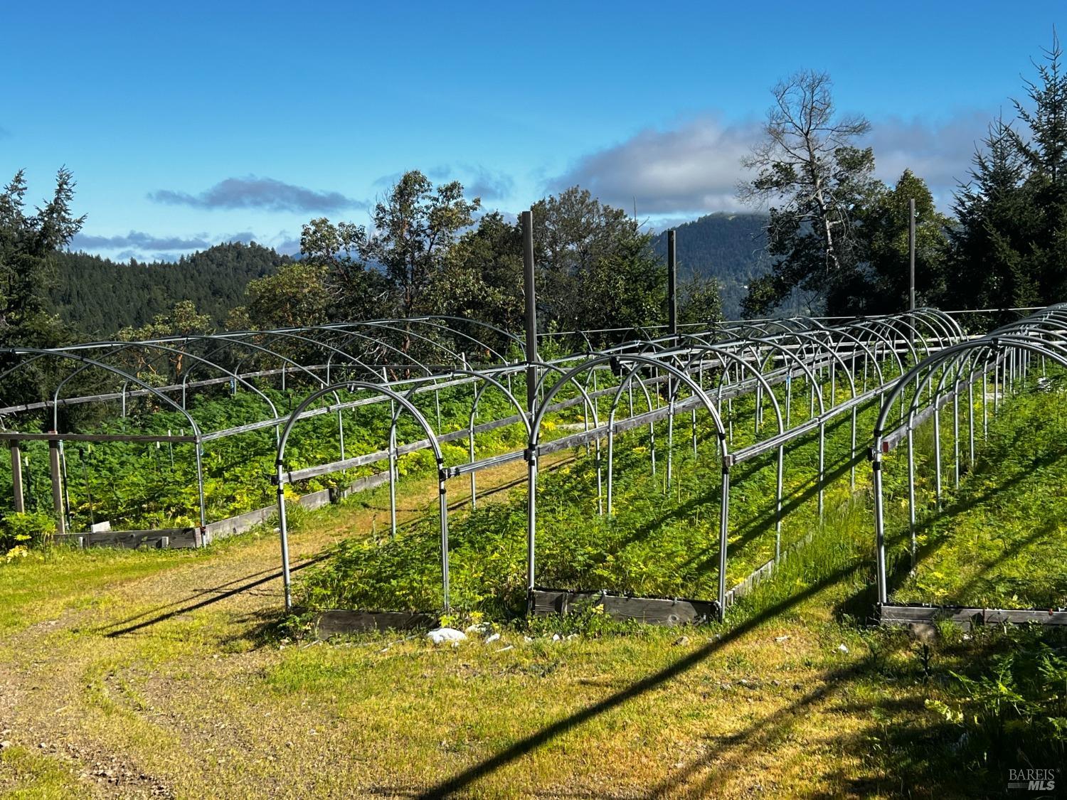 3761 East Blue Rock Road Garberville, CA 95542 - Photo 2 of 38 a view of a yard with sitting area
